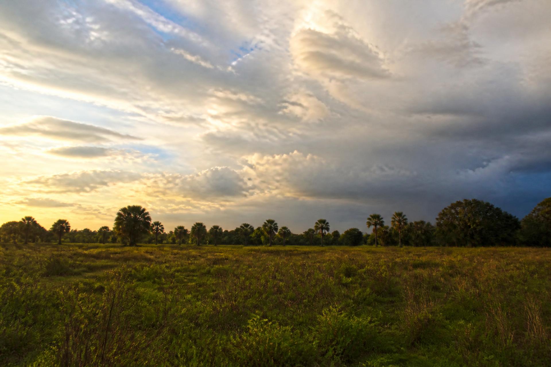 Paisaje de tierras bajas de Santa Cruz, Bolivia